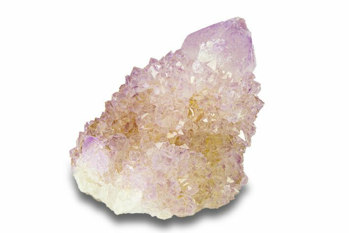 Cactus Quartz (Amethyst) Crystal - South Africa #281891